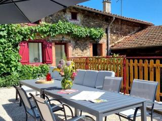 Gîte spacieux 10 pers: Nature, Spa, Confort - FR-1-496-358 - Saint-Denis-sur-Coise - 4