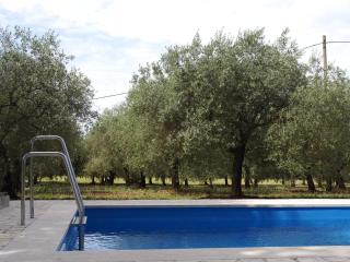Sunny Holiday Home - 4