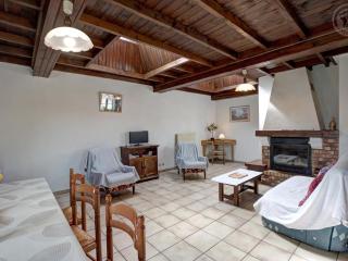 Gîte familial avec jeux extérieurs près de St-Galmier - FR-1-496-281 - 9