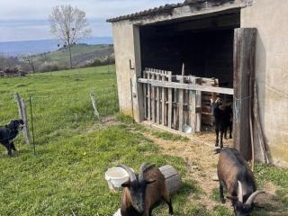 Gîte familial avec jeux extérieurs près de St-Galmier - FR-1-496-281 - 2