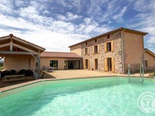 Gîte de luxe avec spa, piscine et sauna, animaux admis à Pinay - FR-1-496-274 - Pinay - 0