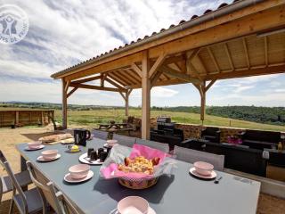 Gîte de luxe avec spa, piscine et sauna, animaux admis à Pinay - FR-1-496-274 - Pinay - 7