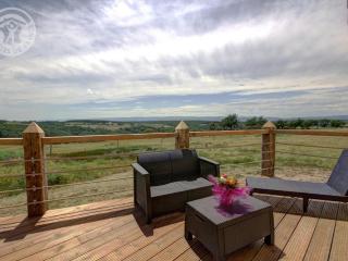 Gîte de luxe avec spa, piscine et sauna, animaux admis à Pinay - FR-1-496-274 - Pinay - 2