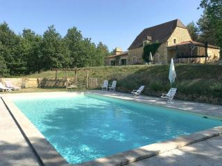 Character House With Views Over The Vezère Valley - Tursac - 0