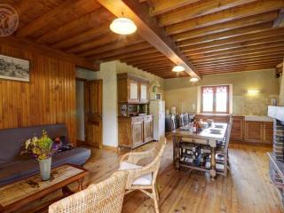 Chalet familial à 5 min des pistes de ski de Chalmazel, 3 chambres, cheminée, animaux acceptés - FR-1-496-138 - 6