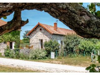 Charmant gîte avec terrasse et piscine, ferme familiale, produits locaux, animaux acceptés - FR-1-496-143 - Saint-André-dʼApchon - 2
