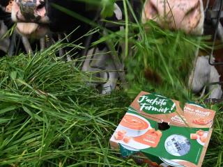 Ferme en Auvergne, terrasse, animaux admis - FR-1-496-290 - 5