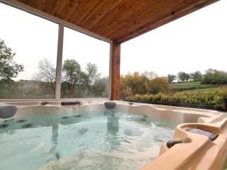 Gîte cosy avec terrasse et jacuzzi privatif - FR-1-496-303 - 6