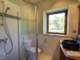 Gîte de charme avec piscine privative, terrasse, jardin, proche rivière - animaux acceptés - FR-1-496-25 - Croizet-sur-Gand - 3