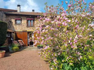 Gîte charmant à Cuinzier avec jardin, animaux acceptés - FR-1-496-183 - 9