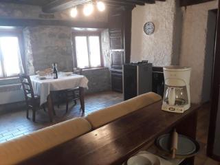 Charmante maison avec poêle et salon ombragé à Pralong - FR-1-496-261 - Pralong - 5