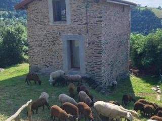 Gîte rénové avec terrasse panoramique et tout confort à Saint-Chamond, proche Saint-Étienne et Lyon - FR-1-496-324 - 2