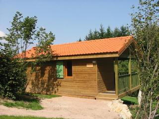Chalet familial tout équipé avec terrasse, au cœur des Monts de la Madeleine, proche La Loge des Gardes - FR-1-496-245 - 0