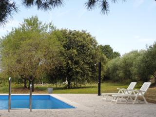 Sunny Holiday Home - 9