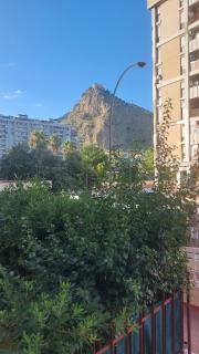 L'ulivo-casa tua a Palermo, a due passi dal centro - Palermo - 9
