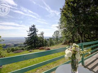 Gîte familial avec cheminée, terrasse et jardin - Animaux acceptés - FR-1-496-177 - Arcon - 7