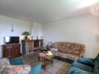 Gîte familial avec cheminée, terrasse et jardin - Animaux acceptés - FR-1-496-177 - Arcon - 1