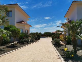 Orchard Blossom Private Villa With Pool - Phrenaros - 3