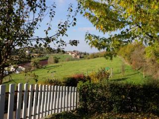 Gîte rural 2 chambres avec jardin, terrasse, wifi, animaux acceptés - FR-1-496-130 - Saint-Héand - 6