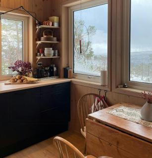 Family Cabin With Views In Hillestad - Dølemo - 7
