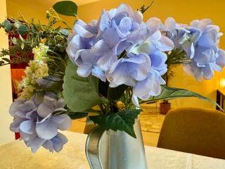 Sandoval Gardens JVC - 4