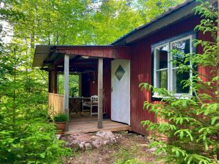 Off-Grid Cabin In Your Private Swedish Forest - Simlångsdalen - 9