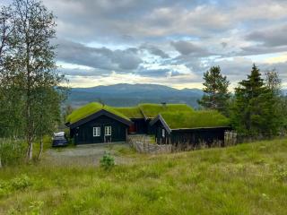 Modern Family Cabin Near Jotunheimen - 0