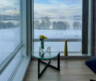 Modern Cabin With Sea View On Andøya, Vesterålen - Risøyhamn - 4