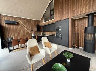 Modern Family Cabin By Løefjellet Mountain - 9