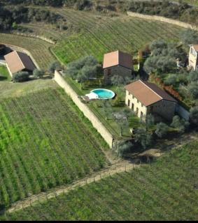 Stone Farmhouses Among Olives And Vines - 7