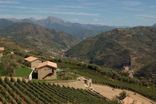 Stone Farmhouses Among Olives And Vines - Dolceacqua - 4