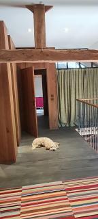 Wine Estate Loft Among Vineyards In Gers - 5