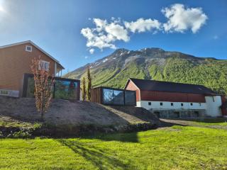 Luxurious Microhouse With Mountainview - Sæbø - 3