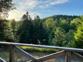 Wooden House With Nature Views Near Silkeborg - 7