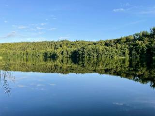 Wooden House With Nature Views Near Silkeborg - Silkeborg - 4