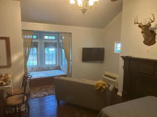 Pine Haven Apartment at Grand Treehouse Resort - Eureka Springs - 6
