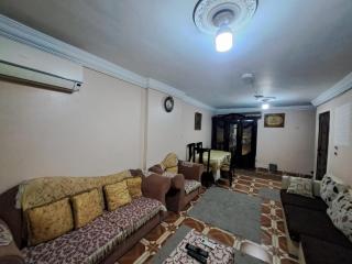 night holiday - Alexandria - 6