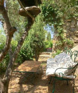 Historic Villa In Sant Antonino With Sea Views - 2