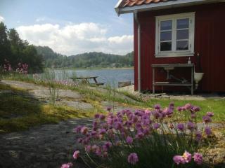 Captains House With Private Dock In Bamble - Stathelle - 0