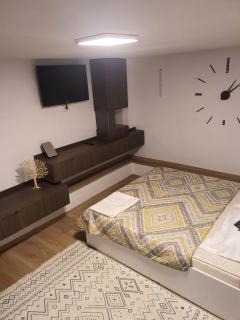 Cozy studio - Zona AEM Timișoara - Timişoara - 2