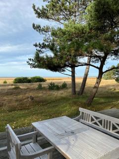 Sea View Over Heather And Reeds Near Sejerø Bay - 1