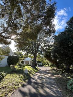 Cherry Lane Constantia - Kapstadt - 9