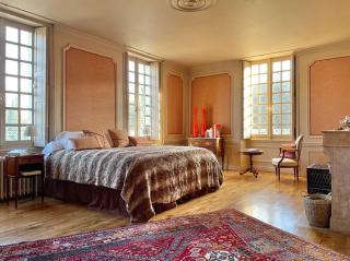 Restored Castle In The Heart Of Loire Valley - Chançay - 6