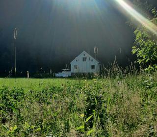 Historic Lords Cabin By Mandal River - 3