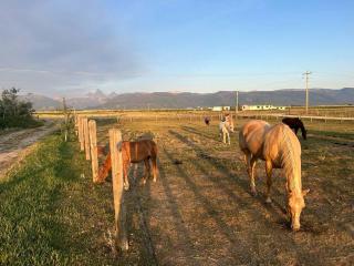 Rustic Sheep Wagon Glamping Retreat with Cowboy Ranch Views near Grand Tetons in Tetonia, Idaho - 6