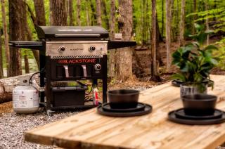 Luxurious Dome Surrounded by Nature for a Unique Romantic Escape near Brimstone and Big South Fork in Tennessee - 7