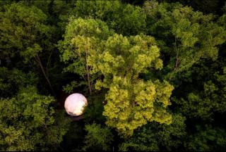 Luxurious Dome Surrounded by Nature for a Unique Romantic Escape near Brimstone and Big South Fork in Tennessee - 5