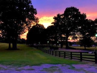 Country Retreat in Iconic Barn and Rustic Suite Near Nashville with Breakfast - 6