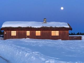 Historic Log Cabin With Views Of Rondane - Ringebu - 2