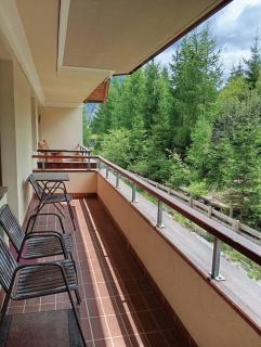 Sonnleitn AlpinWell Appartment (Ski in&out + Wellness) - Hermagor - 5